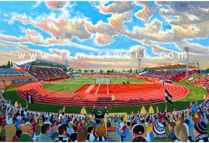 GIS Stadium Fine Art Print - Gateshead FC